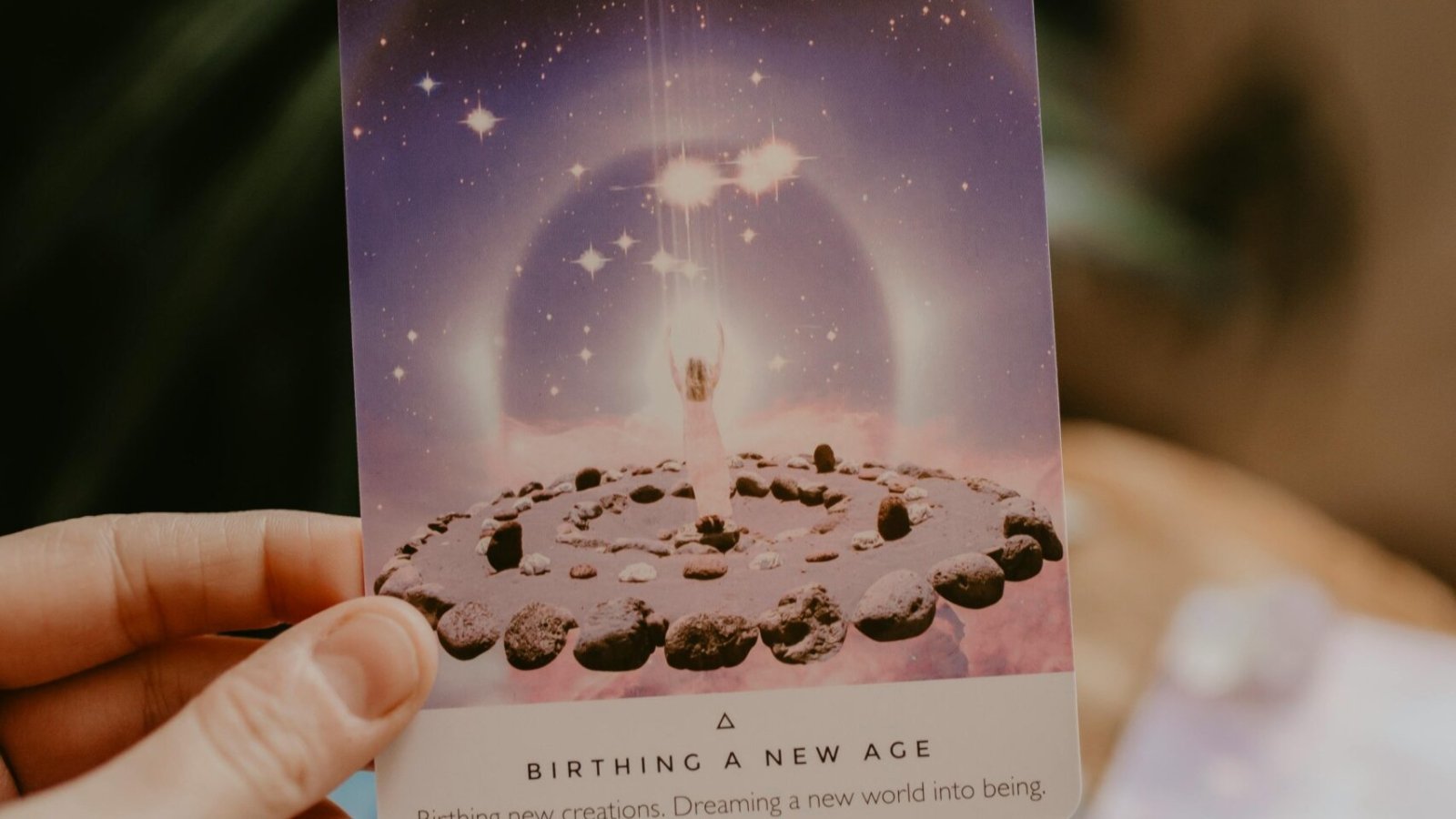 pexels-danielle-rangel-342268-3363695