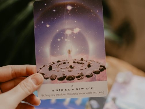 pexels-danielle-rangel-342268-3363695